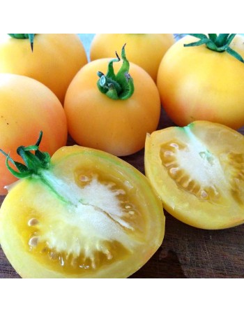 Garden Peach Tomato, South American, Peru - [ Seed2Go.ca ] - [Seed Packets] - Tomato Seeds - 