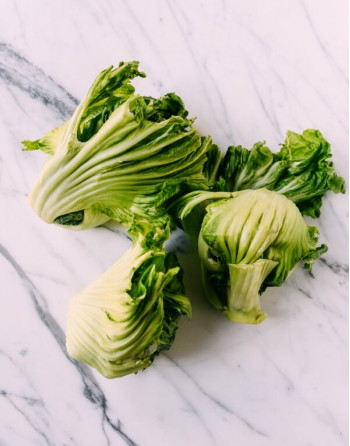 Gai Choy Chinese Mustard Green, Jiè cài (芥菜)  Chinese, Four Seasons Chun Cai, Stemmed Mustard, Heart Mustard, Swatow mustard - [