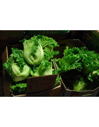 Gai Choy Chinese Mustard Green, Jiè cài (芥菜)  Chinese, Four Seasons Chun Cai, Stemmed Mustard, Heart Mustard, Swatow mustard - [