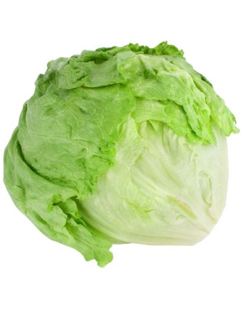 Great Lakes Iceberg Lettuce Seeds, Heirloom, Crisphead Lettuce - [ Shop Canadian Seeds Online ]  - Lettuce - 