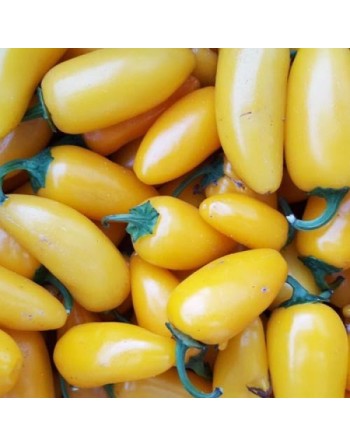 Yellow Jalapeño, Lemon Spice Yellow Pepper Seeds - [ Shop Canadian Seeds Online ]  - Pepper Seeds - 