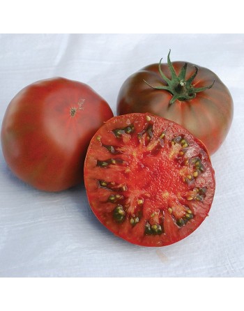Black Krim Heirloom Tomato Seeds, Organic, Russian - [ Shop Canadian Seeds Online ]  - Tomato Seeds - 