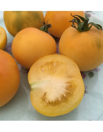 Garden Peach Tomato, South American, Peru - [ Seed2Go.ca ] - [Seed Packets] - Tomato Seeds - 