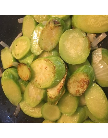 Trumpet Zucchini Seeds, Italian, Professional, Tromboncino Summer Squash - [ Shop Canadian Seeds Online ]  - Zucchini - 