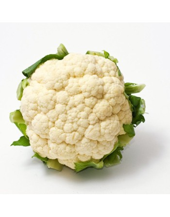 Cauliflower, Snowball, Cauliflower Seeds, Palla Di Neve - [ Shop Canadian Seeds Online ]  - Cauliflower - 