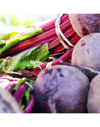 Detroit Dark Red 2, Beet Seeds - [ Seed2Go.ca ] - [Seed Packets] - Beet - 