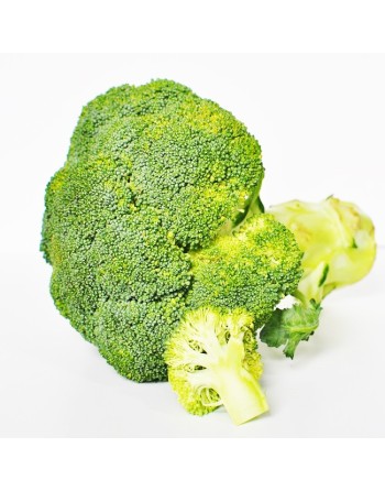 Broccoli of Calabria, Ramoso Calabrese, Cavolo Broccolo, Broccoli Seeds - [ Shop Canadian Seeds Online ]  - Broccoli - 