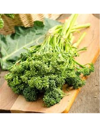 60 Day Rapini, Spring Rapini, Cima Di Rapa Sessantina Seeds - [ Seed2Go.ca ] - [Seed Packets] - Rapini - 