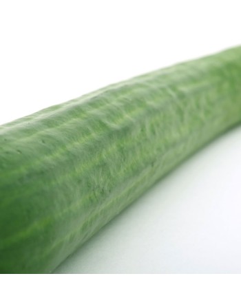 Yard Long Green Cucumber, Lungo Verde Degli Ortolani - [ Garden Seeds, Seed2Go.ca] - V-YLCDO - Cucumber
