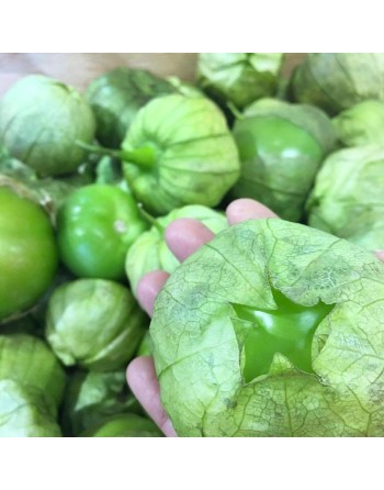 Toma Super Verde Tomatillo Seeds, Little Tomato, Mexican, Green Salsa - [ Seed2Go.ca ] - [Seed Packets] - Tomatillo - 