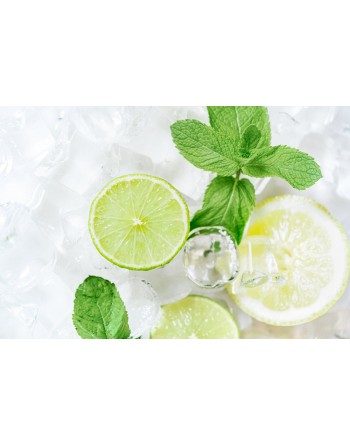 Spearmint Mint, European & Asia Herb, Mint Herb Seeds - [ Seed2Go.ca ] - [Seed Packets] - Mint - 