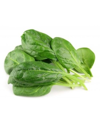 Malabar Poi Indian Dark Green Spinach, Green Round Leaf, Madhuri, भारतीय गहरा हरा पालक - [ Shop Canadian Seeds Online ]  - Spina