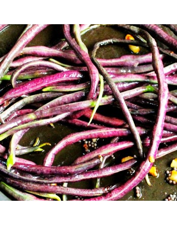 Oriental Mosaic, Chinese Red Noodle, Yard Long Pole Bean, Red Bean, Stringless - [ Seed2Go.ca ] - [Seed Packets] - Bean/Pea - 