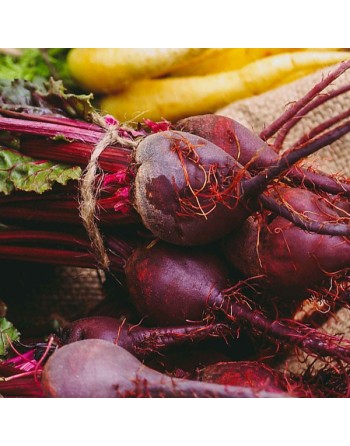 Detroit Dark Red 2, Beet Seeds - [ Seed2Go.ca ] - [Seed Packets] - Beet - 