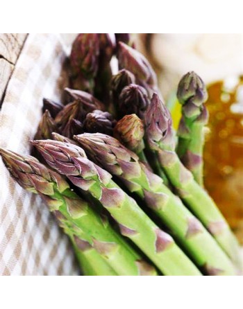 'Early Argenteuil' Asparagus Seeds, Precoce D'Argentuil - [ Seed2Go.ca ] - [Seed Packets] - Asparagus - 