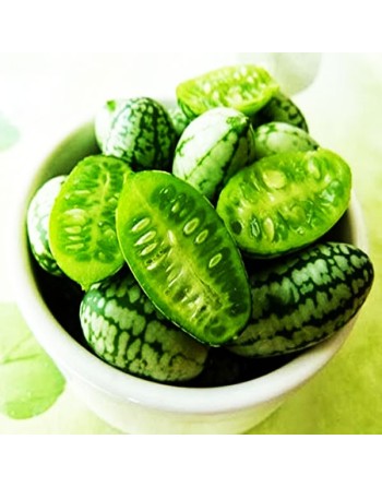 Sandia De Raton Sour Gherkin Cucumber, Mouse Melon, South American - [ Seed2Go.ca ] - [Seed Packets] - Cucumber - 