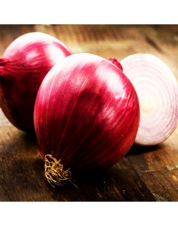 Red Onion, Tuscany Italy, Rossa di Toscana Onion Seeds - [ Seed2Go.ca ] - [Seed Packets] - Onion - 