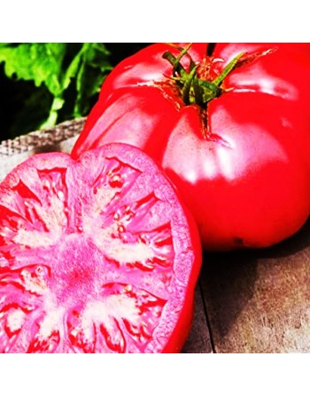 Beefsteak Tomato, Beef Tomato Seeds - [ Seed2Go.ca ] - [Seed Packets] - Tomato Seeds - 