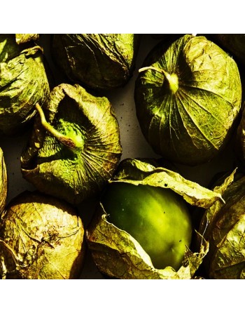 Toma Super Verde Tomatillo Seeds, Little Tomato, Mexican, Green Salsa - [ Seed2Go.ca ] - [Seed Packets] - Tomatillo - 