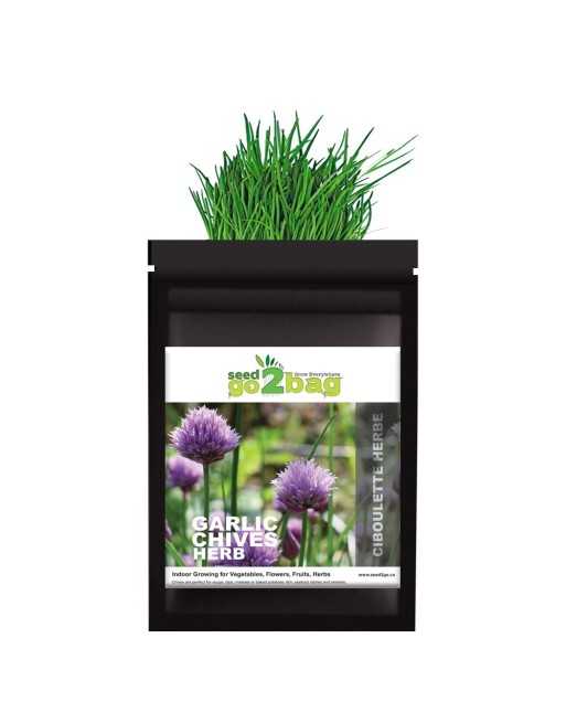 Garden Bag™, Black, Onion Chives - [ Shop Canadian Seeds Online ]  - Seed2Go Vegetable & Herb Garden Bag™ - 