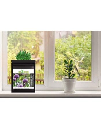 Garden Bag™, Black, Onion Chives - [ Shop Canadian Seeds Online ]  - Seed2Go Vegetable & Herb Garden Bag™ - 