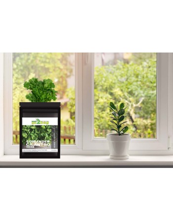 Garden Bag™, Black, Coriander/Cilantro - [ Shop Canadian Seeds Online ]  - Seed2Go Vegetable & Herb Garden Bag™ - 