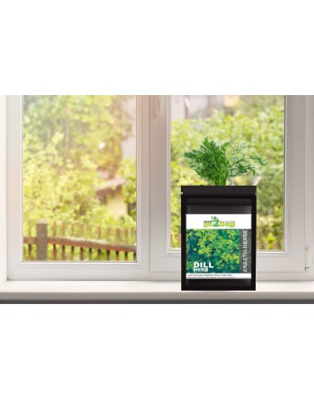 Garden Bag™, Black, Dill - [ Shop Canadian Seeds Online ]  - Seed2Go Vegetable & Herb Garden Bag™ - 