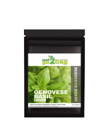 Garden Bag™, Black, Genovese Basil - [ Shop Canadian Seeds Online ]  - Seed2Go Vegetable & Herb Garden Bag™ - 