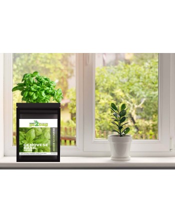 Garden Bag™, Black, Genovese Basil - [ Shop Canadian Seeds Online ]  - Seed2Go Vegetable & Herb Garden Bag™ - 