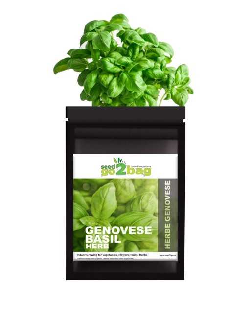 Garden Bag™, Black, Genovese Basil - [ Shop Canadian Seeds Online ]  - Seed2Go Vegetable & Herb Garden Bag™ - 