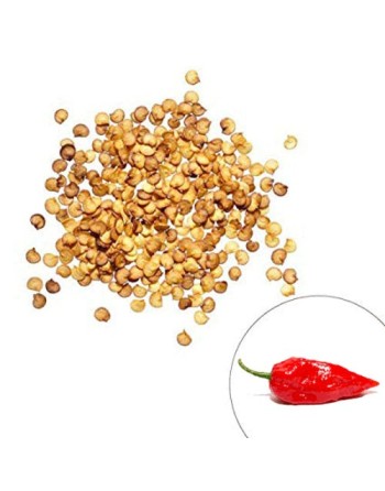 Garden Bag™, Black, Ghost Pepper - [ Shop Canadian Seeds Online ]  - Pepper Seeds - 