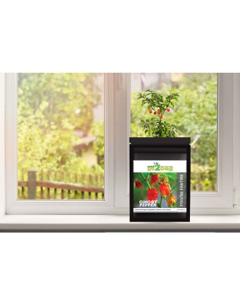 Garden Bag™, Black, Ghost Pepper - [ Shop Canadian Seeds Online ]  - Pepper Seeds - 