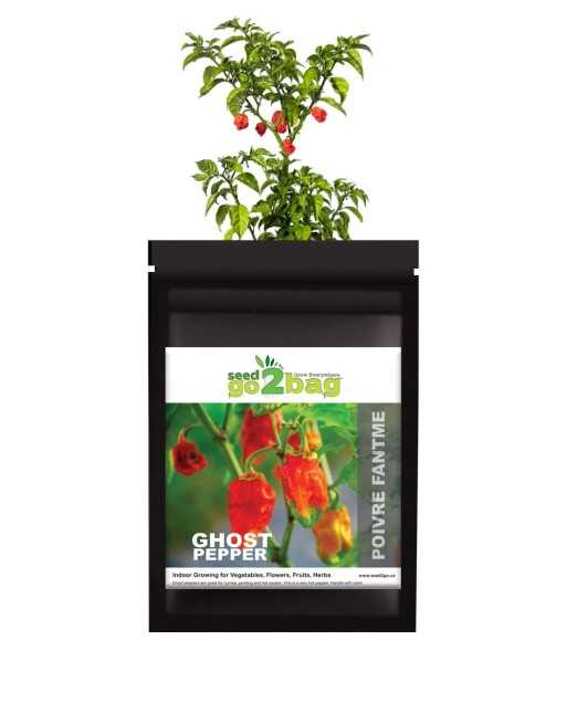 Garden Bag™, Black, Ghost Pepper - [ Shop Canadian Seeds Online ]  - Pepper Seeds - 