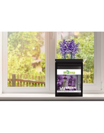 Garden Bag™, Black, Lavender - [ Shop Canadian Seeds Online ]  - Seed2Go Vegetable & Herb Garden Bag™ - 