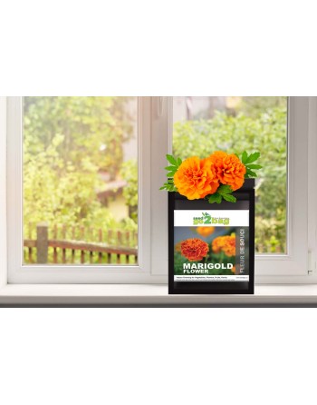 Garden Bag™, Black, Marigold Flower - [ Shop Canadian Seeds Online ]  - Seed2Go Vegetable & Herb Garden Bag™ - 