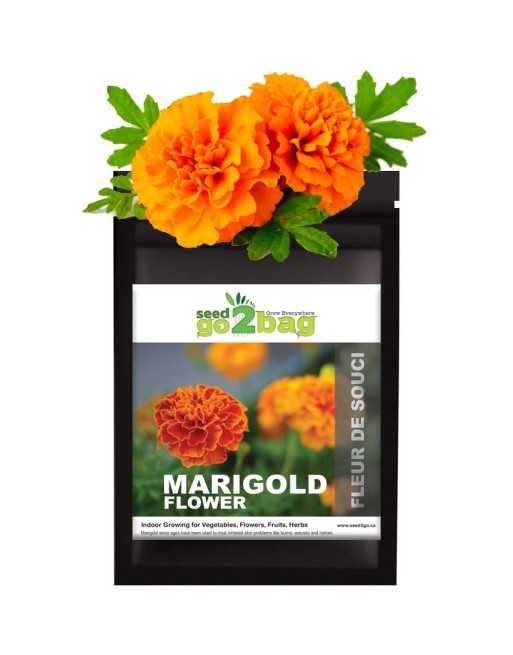 Garden Bag™, Black, Marigold Flower - [ Shop Canadian Seeds Online ]  - Seed2Go Vegetable & Herb Garden Bag™ - 
