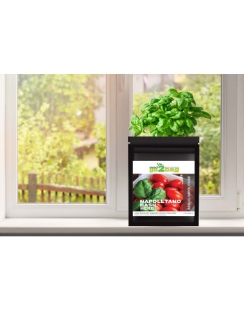 Garden Bag™, Black, Napolitano Basil - [ Shop Canadian Seeds Online ]  - Seed2Go Vegetable & Herb Garden Bag™ - 