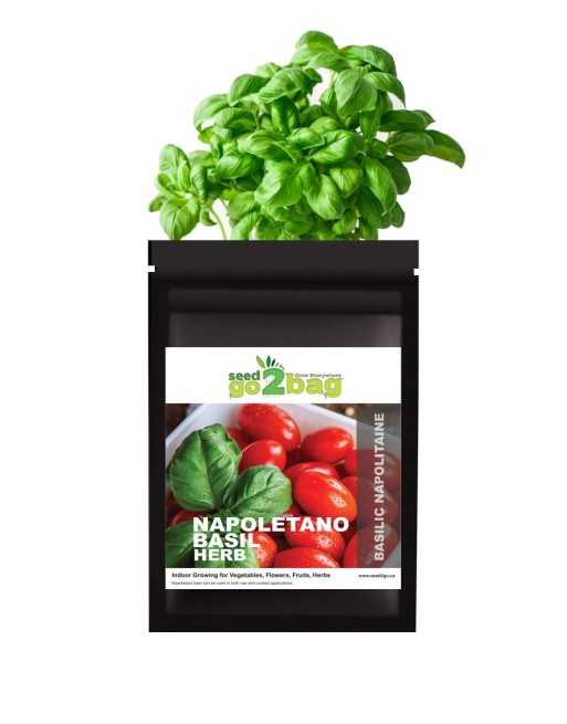 Garden Bag™, Black, Napolitano Basil - [ Shop Canadian Seeds Online ]  - Seed2Go Vegetable & Herb Garden Bag™ - 