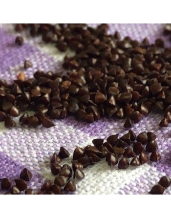 Garden Bag™, Black, Sorrel - [ Shop Canadian Seeds Online ]  - Seed2Go Vegetable & Herb Garden Bag™ - 