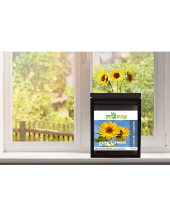 Garden Bag™, Black, Sunflower - [ Shop Canadian Seeds Online ]  - Seed2Go Vegetable & Herb Garden Bag™ - 