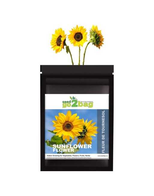 Garden Bag™, Black, Sunflower - [ Shop Canadian Seeds Online ]  - Seed2Go Vegetable & Herb Garden Bag™ - 
