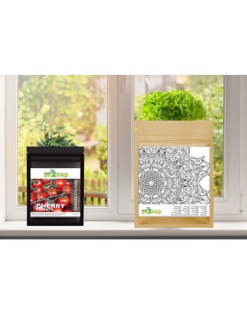 Garden Gift Bag™, Mandala, Children/Adults Arts & Crafts Project - [ Garden Seeds, Seed2Go.ca] - S2G-GB-LG-ARTS - Seed2Go Large 