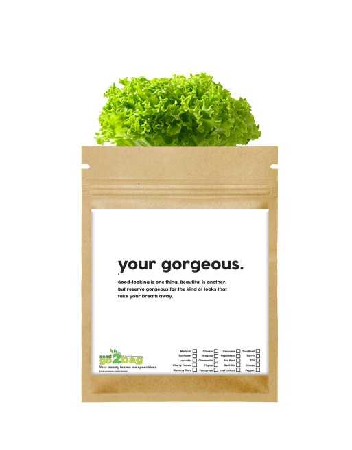 Garden Gift Bag™,  Gorgeous, Great for Friends, Loved Ones, Crushes - [ Garden Seeds, Seed2Go.ca] - S2G-GB-LG-GORGEOUS - Seed2Go