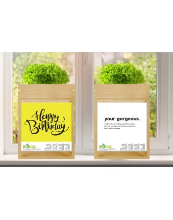 Garden Gift Bag™,  Gorgeous, Great for Friends, Loved Ones, Crushes - [ Garden Seeds, Seed2Go.ca] - S2G-GB-LG-GORGEOUS - Seed2Go