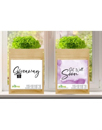 Garden Gift Bag™, Get Well Soon, Get Better, Take Care - [ Garden Seeds, Seed2Go.ca] - S2G-GB-LG-GWS - Seed2Go Large Garden Gift