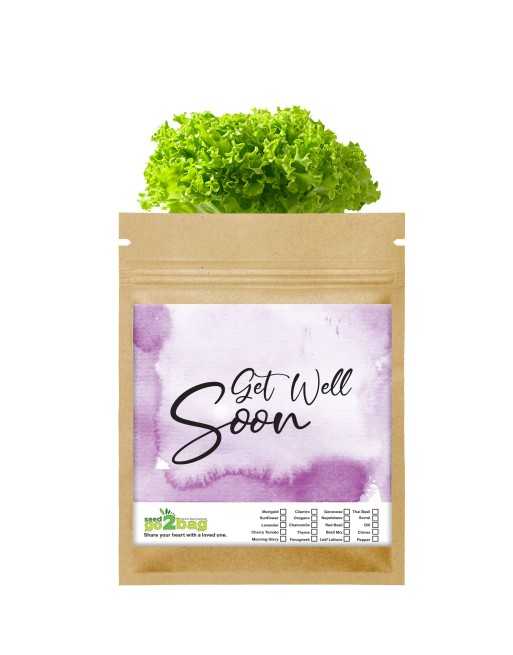 Garden Gift Bag™, Get Well Soon, Get Better, Take Care - [ Garden Seeds, Seed2Go.ca] - S2G-GB-LG-GWS - Seed2Go Large Garden Gift