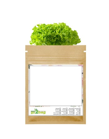 Garden Gift Bag™, Children/Adults Can Draw/Paint Anything - [ Garden Seeds, Seed2Go.ca] - S2G-GB-LG-DRAW - Seed2Go Large Garden 