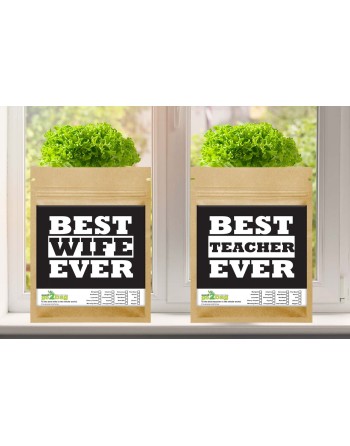 Garden Gift Bag™, Best Teacher Ever - [ Garden Seeds, Seed2Go.ca] - S2G-GB-LG-BESTTEACHER - Seed2Go Large Garden Gift Bag™