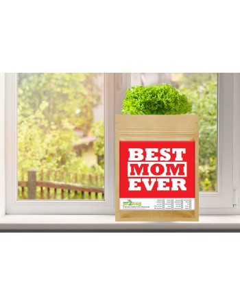 Garden Gift Bag™, Best Mom Ever - [ Garden Seeds, Seed2Go.ca] - S2G-GB-LG-BESTMOM - Seed2Go Large Garden Gift Bag™