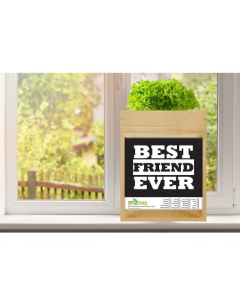 Garden Gift Bag™, Best Friend Ever - [ Garden Seeds, Seed2Go.ca] - S2G-GB-LG-BESTFRIEND - Seed2Go Large Garden Gift Bag™